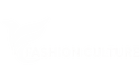 Fashion Culture
